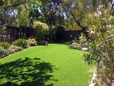 Artificial Grass Photos: Artificial Grass Carpet Pine Valley, California City Landscape, Backyard Designs