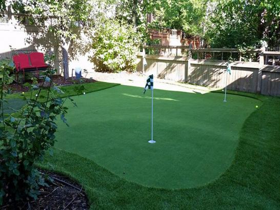 Artificial Grass Photos: Artificial Grass Carpet Van Nuys, California Garden Ideas, Backyard Makeover