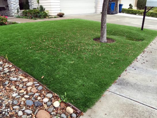 Artificial Grass Photos: Artificial Grass Carpet West Athens, California Home And Garden, Front Yard Ideas
