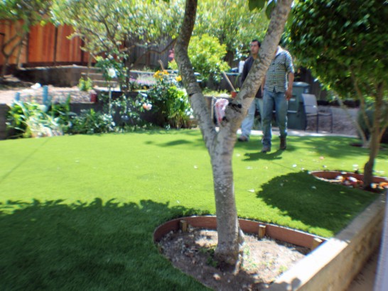 Artificial Grass Photos: Artificial Grass Escondido, California Backyard Deck Ideas, Backyard Landscaping Ideas