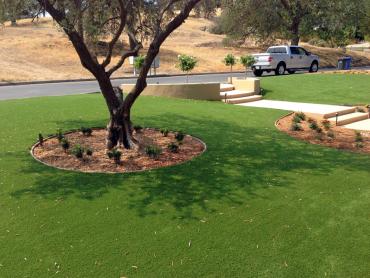 Artificial Grass Photos: Artificial Grass Installation Mountain View Acres, California City Landscape, Front Yard