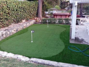Artificial Grass Photos: Artificial Lawn Chula Vista, California How To Build A Putting Green, Backyard Design