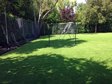 Artificial Grass Photos: Artificial Lawn Del Aire, California Landscaping Business, Backyard Design