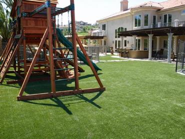 Artificial Grass Photos: Artificial Lawn Huntington Beach, California Playground Safety, Backyard Landscape Ideas