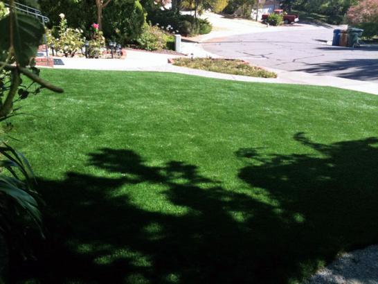 Artificial Grass Photos: Artificial Lawn Pedley, California Roof Top, Small Front Yard Landscaping