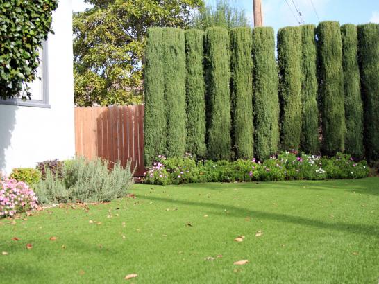 Artificial Grass Photos: Artificial Lawn San Gabriel, California Landscaping, Landscaping Ideas For Front Yard