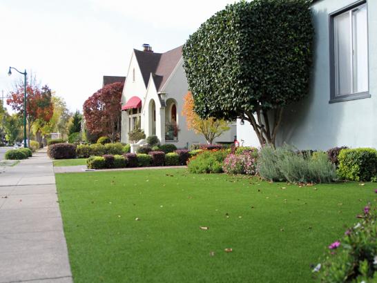 Artificial Grass Photos: Artificial Lawn Temple City, California City Landscape, Small Front Yard Landscaping