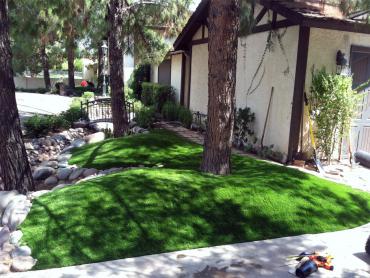 Artificial Grass Photos: Artificial Turf Cost Anza, California, Front Yard Design