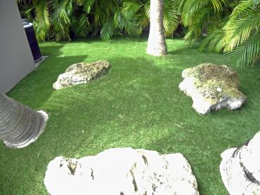 Artificial Grass Photos: Artificial Turf Cost Canyon Lake, California Design Ideas, Backyard Design