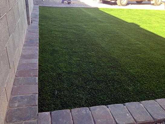 Artificial Grass Photos: Artificial Turf Cost Pinon Hills, California Hotel For Dogs, Front Yard