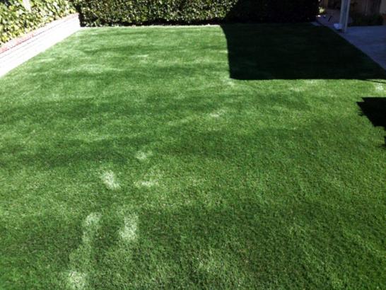 Artificial Grass Photos: Artificial Turf Cost Rubidoux, California Dog Grass, Backyard Designs