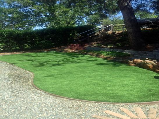 Artificial Grass Photos: Artificial Turf Cost Thousand Palms, California Design Ideas, Backyard Design