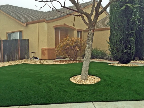 Artificial Grass Photos: Artificial Turf Fallbrook, California Landscaping Business, Landscaping Ideas For Front Yard