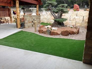 Artificial Grass Photos: Artificial Turf Hollywood, California Backyard Deck Ideas, Backyard Landscape Ideas