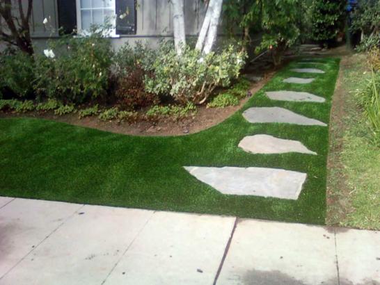 Artificial Grass Photos: Artificial Turf Installation Brea, California City Landscape, Front Yard Landscape Ideas