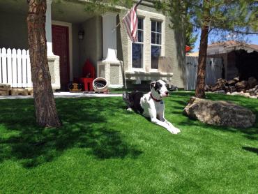 Artificial Grass Photos: Artificial Turf Installation Commerce, California Dog Grass, Landscaping Ideas For Front Yard