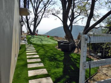 Artificial Grass Photos: Artificial Turf Installation Ladera Ranch, California Landscaping Business, Backyards