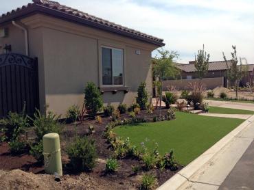 Artificial Grass Photos: Artificial Turf Lennox, California Lawn And Landscape, Front Yard Ideas