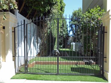Artificial Grass Photos: Best Artificial Grass Apple Valley, California Backyard Playground, Front Yard Ideas