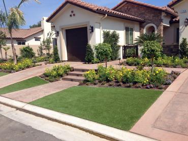 Artificial Grass Photos: Best Artificial Grass Jamul, California Garden Ideas, Small Front Yard Landscaping