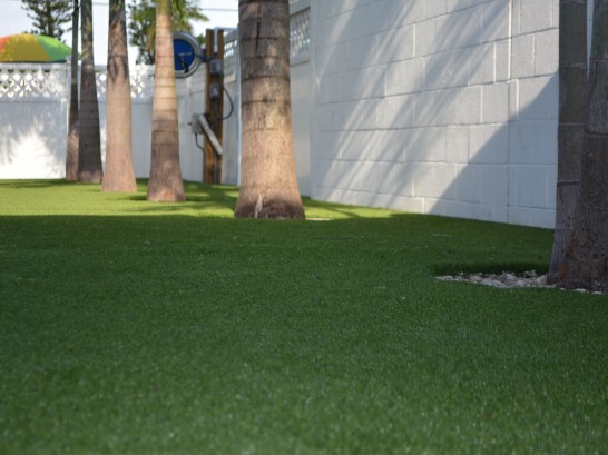 Artificial Grass Photos: Best Artificial Grass La Mesa, California Landscaping, Commercial Landscape