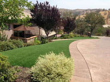 Artificial Grass Photos: Best Artificial Grass Muscoy, California Landscape Ideas, Landscaping Ideas For Front Yard