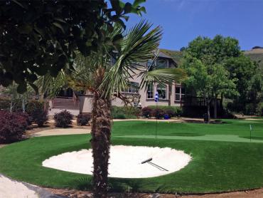 Artificial Grass Photos: Best Artificial Grass Rancho San Diego, California Landscaping Business, Front Yard Landscaping