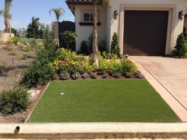 Artificial Grass Photos: Best Artificial Grass South Pasadena, California Garden Ideas, Small Front Yard Landscaping