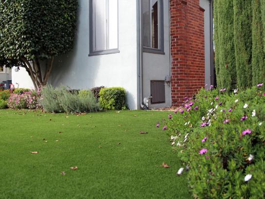 Artificial Grass Photos: Best Artificial Grass Wildomar, California Rooftop, Front Yard Landscape Ideas