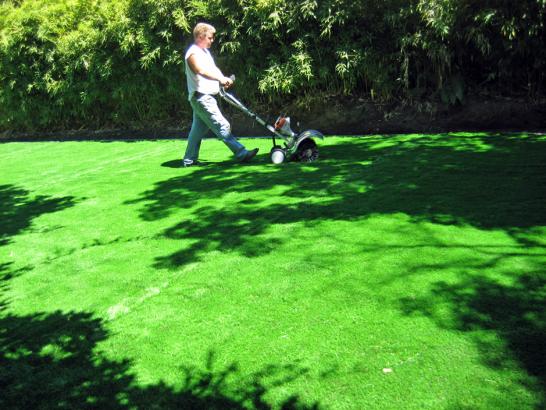 Artificial Grass Photos: Fake Grass Carpet Beaumont, California Paver Patio, Backyards