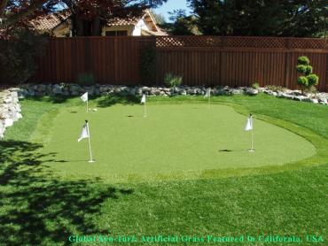 Fake Grass Carpet Escondido, California Lawns, Backyard Landscaping Ideas artificial grass