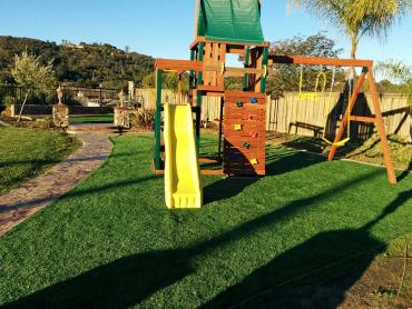 Artificial Grass Photos: Fake Grass Carpet Santee, California Landscape Design, Backyard