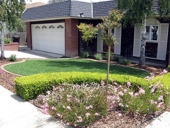Artificial Grass Photos: Fake Grass Carpet Topanga, California Lawn And Garden, Landscaping Ideas For Front Yard