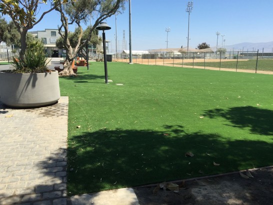 Artificial Grass Photos: Fake Lawn Aliso Viejo, California Design Ideas, Parks