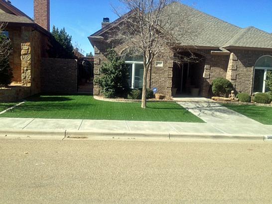 Artificial Grass Photos: Fake Lawn Campo, California City Landscape, Front Yard Landscaping