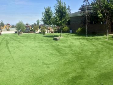 Artificial Grass Photos: Fake Lawn Grand Terrace, California Home And Garden, Recreational Areas