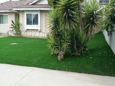 Artificial Grass Photos: Fake Lawn Murrieta Hot Springs, California Landscape Design, Front Yard Ideas