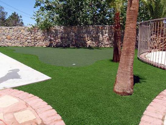Fake Lawn Rolling Hills, California Design Ideas, Backyard Landscape Ideas artificial grass