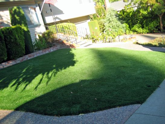 Artificial Grass Photos: Fake Lawn Santa Ana, California Landscape Photos, Front Yard Landscaping Ideas