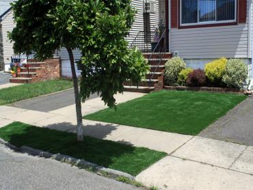 Artificial Grass Photos: Fake Lawn Westmont, California Landscaping Business, Front Yard Ideas