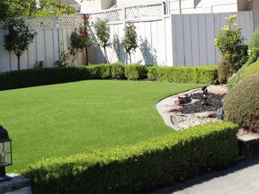 Artificial Grass Photos: Fake Lawn Winchester, California Lawn And Garden, Backyard Landscaping Ideas