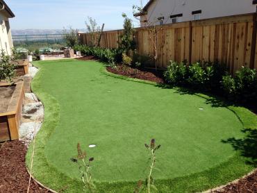 Artificial Grass Photos: Fake Turf Agoura, California Outdoor Putting Green, Backyard Landscaping
