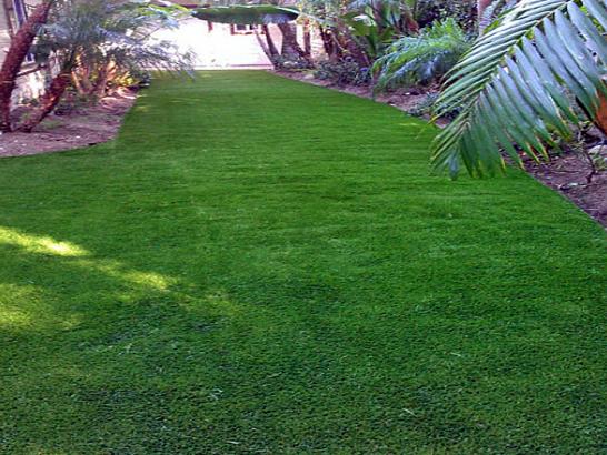 Artificial Grass Photos: Fake Turf Monterey Park, California Landscaping, Backyard Ideas