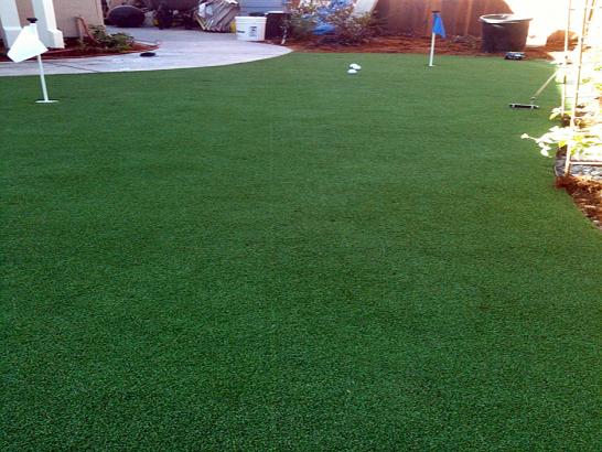 Artificial Grass Photos: Fake Turf Rancho Cucamonga, California Diy Putting Green, Backyard Landscape Ideas