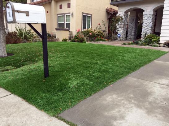 Artificial Grass Photos: Fake Turf Rolling Hills Estates, California Gardeners, Front Yard