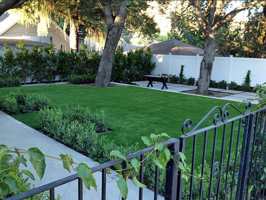 Artificial Grass Photos: Fake Turf Yucca Valley, California Lawn And Garden, Front Yard Design