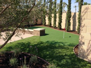 Artificial Grass Photos: Faux Grass Coronado, California Indoor Putting Greens, Backyard Landscaping Ideas