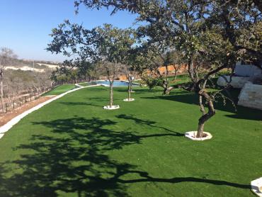 Artificial Grass Photos: Faux Grass Culver City, California Gardeners, Backyard Design