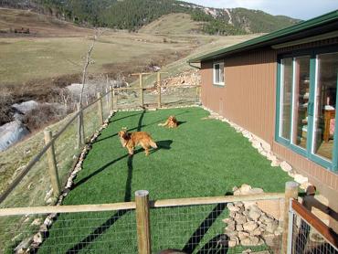 Artificial Grass Photos: Grass Carpet Chula Vista, California Landscape Rock, Backyard Garden Ideas