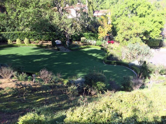 Artificial Grass Photos: Grass Carpet Murrieta Hot Springs, California City Landscape, Backyards